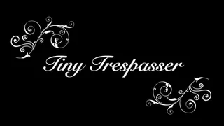 Tiny Trespasser