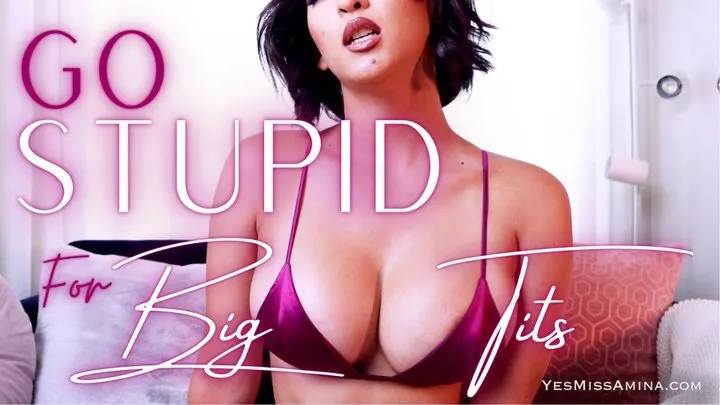 Go Stupid For Big Tits