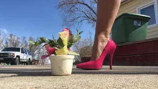 Heels and flip flops crush cute toys