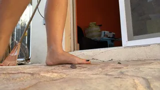 Backyard Dirty feet