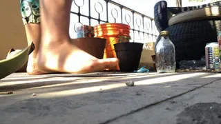 Gardening with my dirty feet