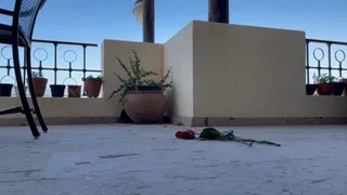 Crushing the roses you gave me with roller skates
