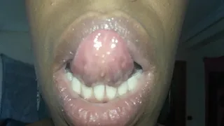 A Mouth Tour