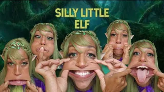 SILLY LITTLE ELF