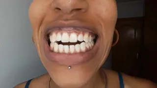 A quick teeth tour