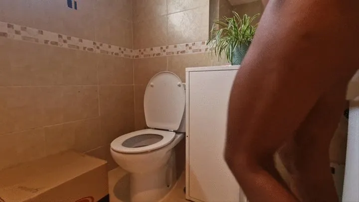 Toilet visits compilation