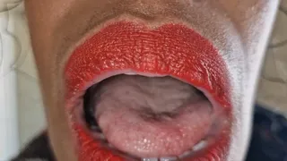 My Mouth Your Fantasy