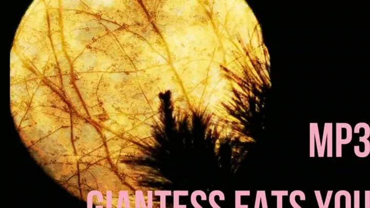 Giantess Eats you | Audio Only!