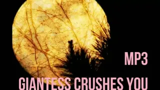 Giantess Crushes you | Audio Only!