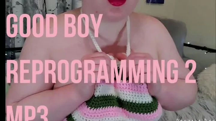 Good Boy Reprogramming 2 | Audio Only!