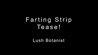Farting Strip Tease