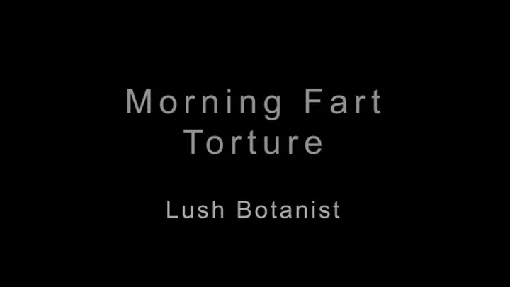 Morning Farts