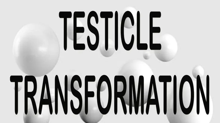 TESTICLE TRANSFORMATION