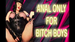 ANAL ONLY FOR BITCH BOYS