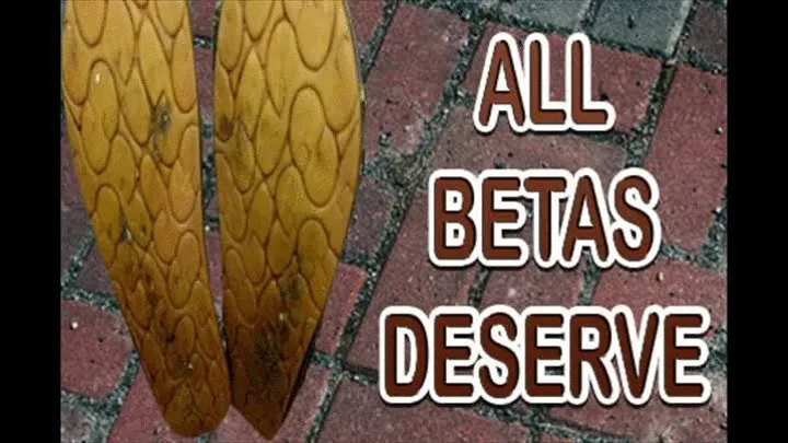 ALL BETAS DESERVE