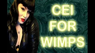 CEI FOR WIMPS