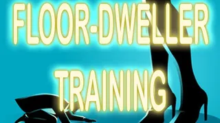 FLOOR DWELLER TRAINING