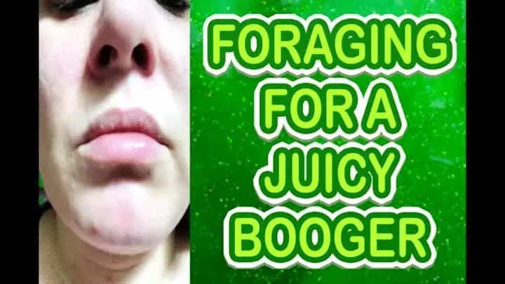 FORAGING FOR A JUICY BOOGER