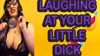 LAUGHING AT YOUR LITTLE DICK