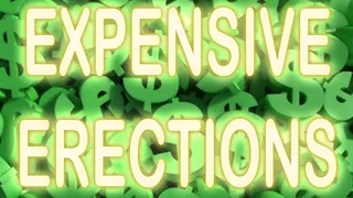 EXPENSIVE ERECTIONS