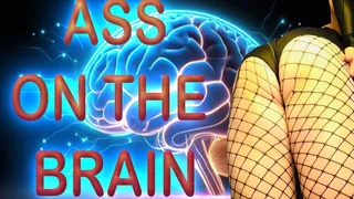 ASS ON THE BRAIN