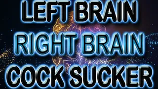 LEFT BRAIN RIGHT BRAIN COCK SUCKER