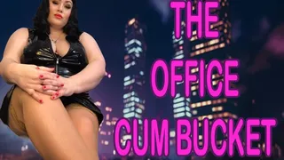 THE OFFICE CUM BUCKET