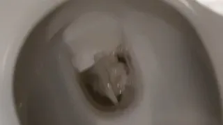 Public Toilet Pee Clip
