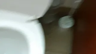 Hairy pussy public toilet pee clip