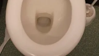 Public toilet pee clip (with a bit of a sat nav voice)