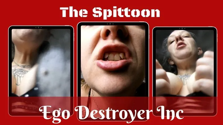 Ego Destroyer Inc - The Spittoon