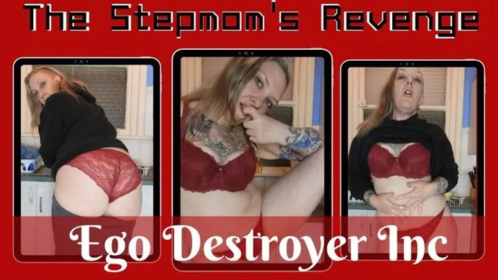 The Stepmoms Revenge