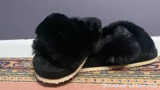 Slipper Worship