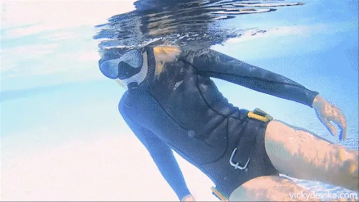 Wetsuit & Snorkel ( )