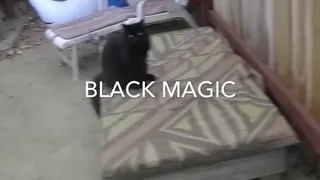 black magic