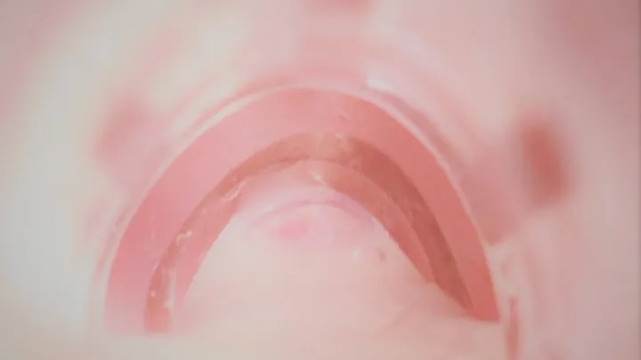 Extreme closeup Fleshlight internal view & huge cumshot