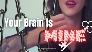 Your Brain Is MINE