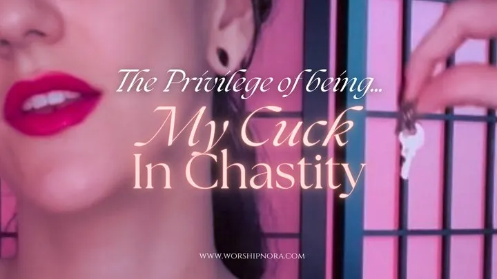 The Privilege Of Being My Cuck In Chastity