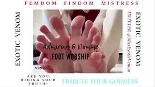 Admiring Foot Worship