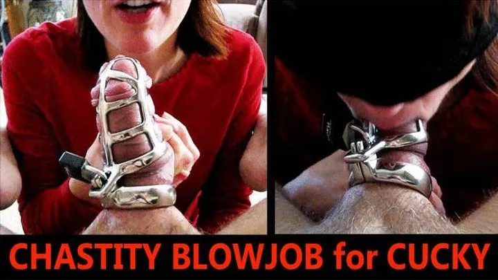 Chastity Cage Blowjob for Cucky