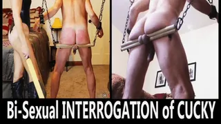 Bi-Curious Cucky Interrogation on Humbler Hoist