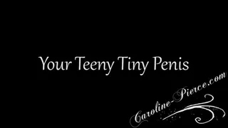 Your Teeny Tiny Penis