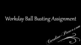 Workday Ball Busting Assignment