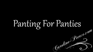 Panting For Panties
