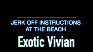 Jerk Off Instructions at the Beach