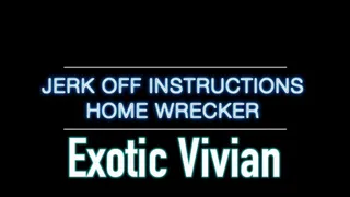 Jerk Off Instructions - Home Wrecker