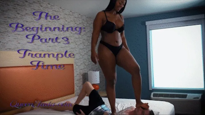 The Beginning Part 3: Trample Time!