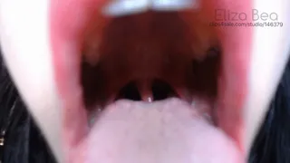 Showing You My Mouth (Tour)