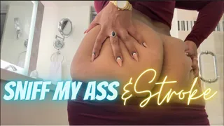 Sniff my Ass & Stroke