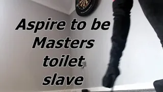 Aspire to be Masters toilet